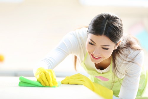 Domestic cleaning tasks in an Ilford kitchen