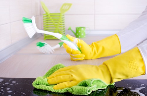 Domestic cleaner preparing a kitchen and living area in Ilford