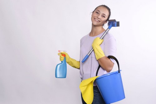 Bathroom deep clean during a move-out clean in Ilford