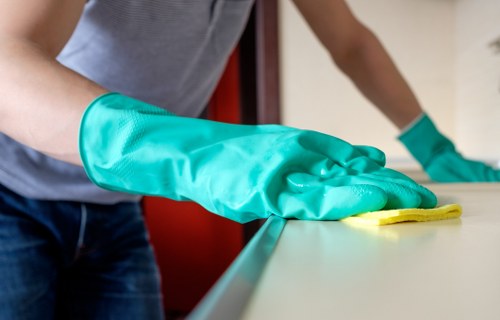 Steam carpet cleaning for domestic and commercial floors